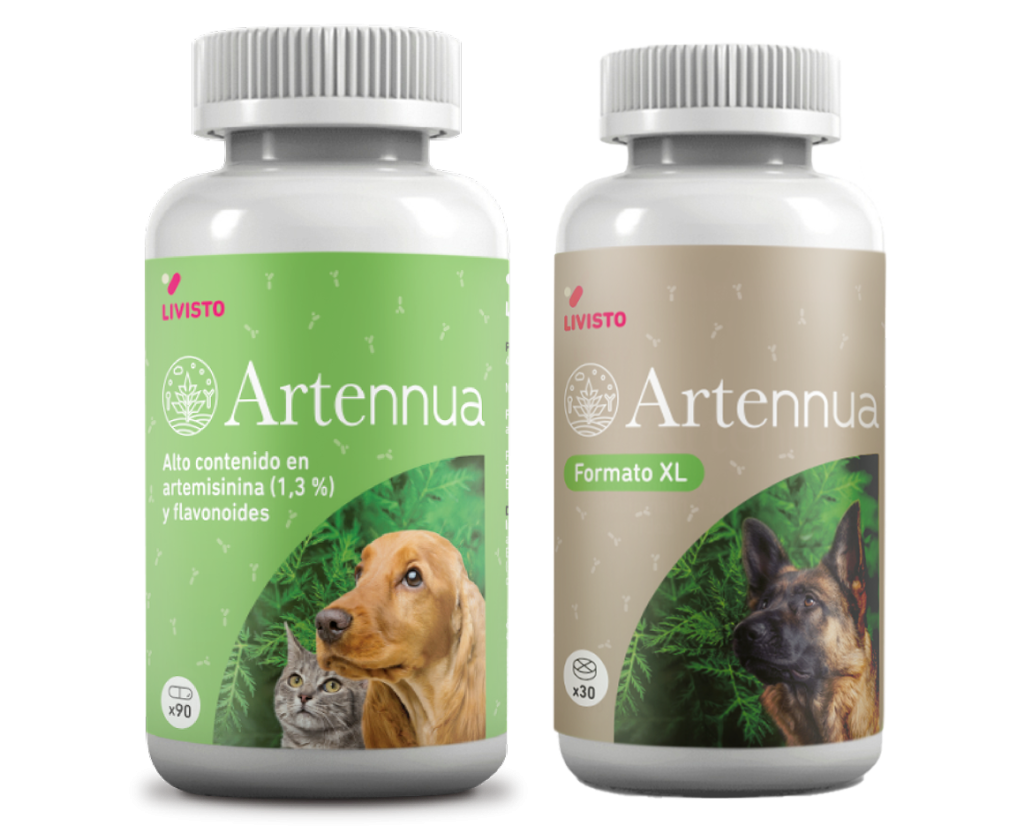 Artennua - Producto de Artemisia annua